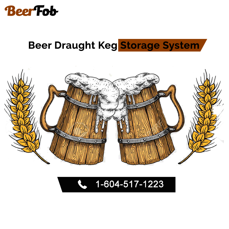 Know About Benefits of Beer Draught Keg Storage System.jpg